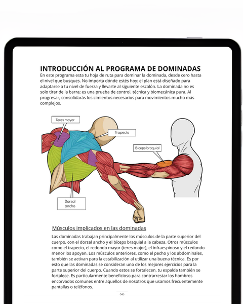 Interior del manual