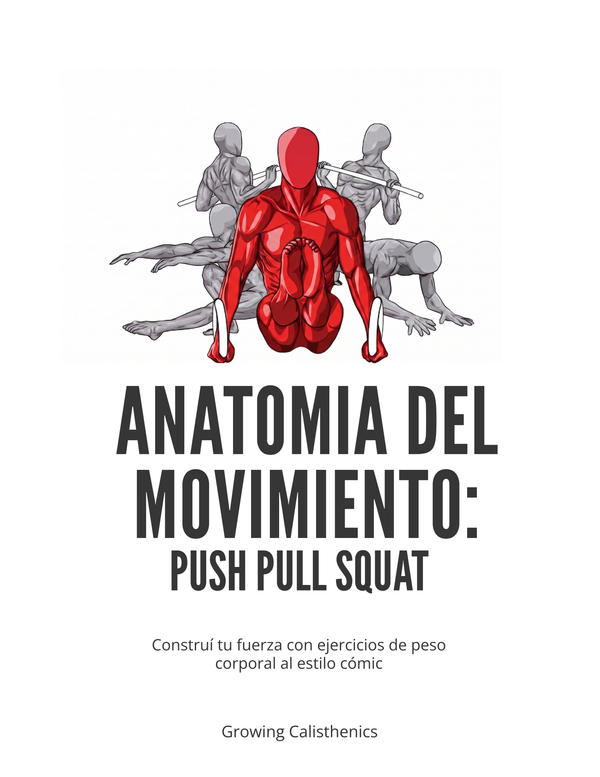 Anatomía del Movimiento